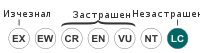 Status iucn3.1 LC bg.svg